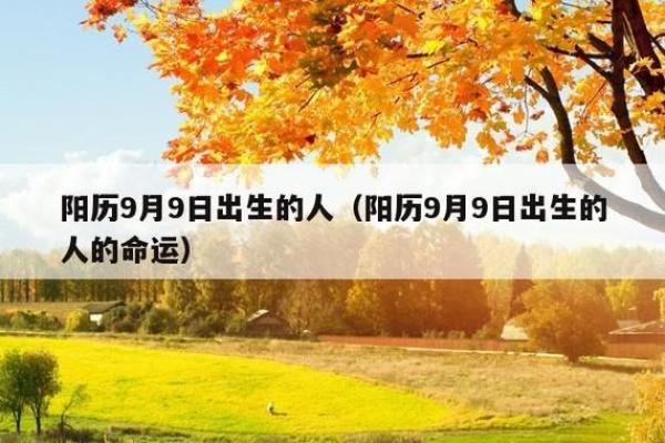 2017腊月二十命理解析：运势与生活的深刻启示