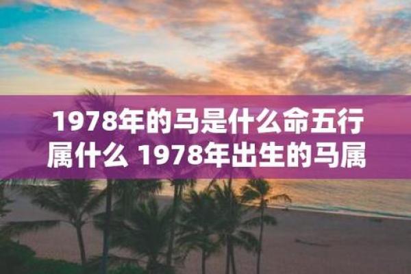 1938年出生的命运：探索其背后的五行与性格魅力