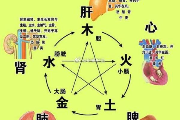 探秘八字命理：解读命局特征与人生机遇