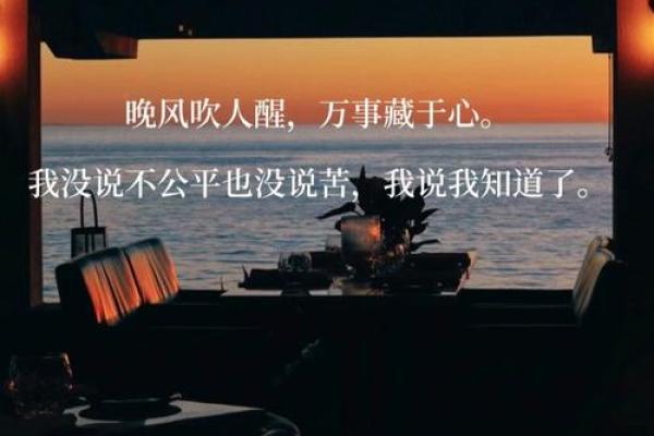 2019年椒什么命：探索人生的奇妙与挑战之旅