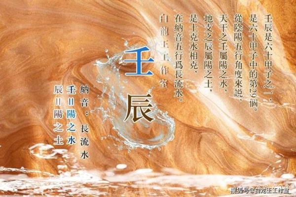 探秘19921021出生命理：神秘数字背后的命运轨迹与生活启示