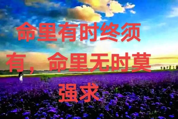 命里有时终须有，命里无时莫强求——淡然面对人生的智慧