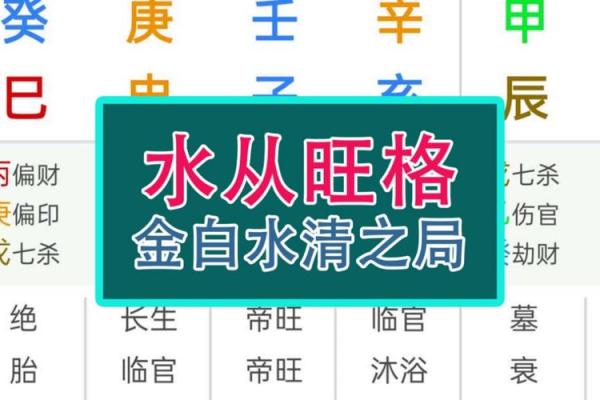 木命水命者适合开什么店？探寻五行与商机的完美结合！