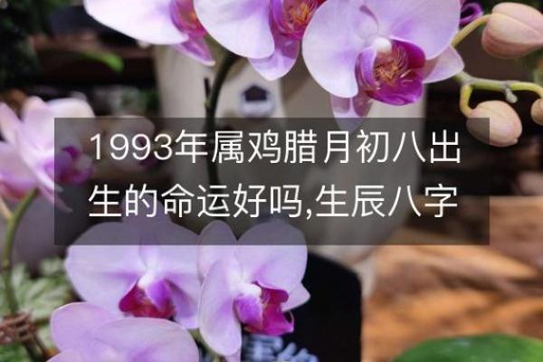 探秘1986年出生的生肖与命理：揭开人生的神秘面纱