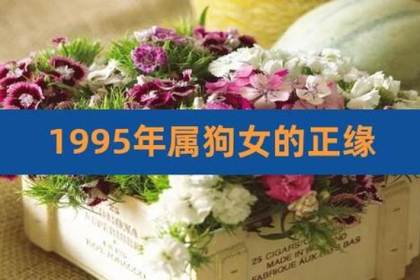 1982年属狗的水命人：性格特点与人生运势分析