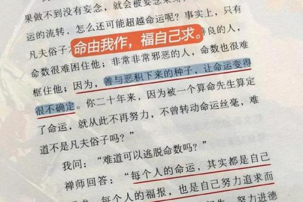 探索命运之秘：1985年说命的智慧与启示