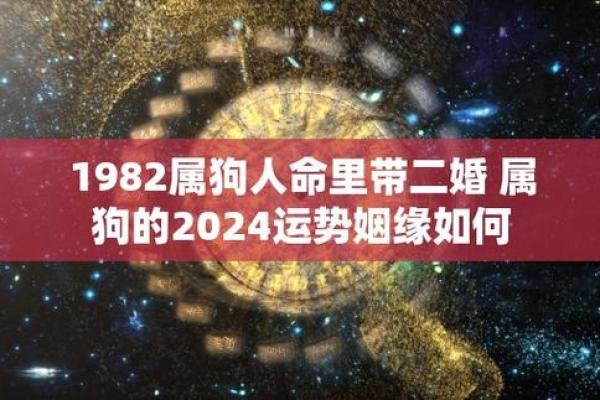 1981年属狗之人的命运特点与人生解析