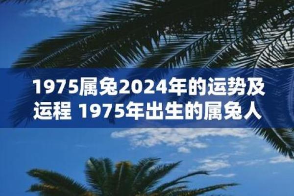 71年属什么命？揭开这一年出生人的性格与运势之谜！