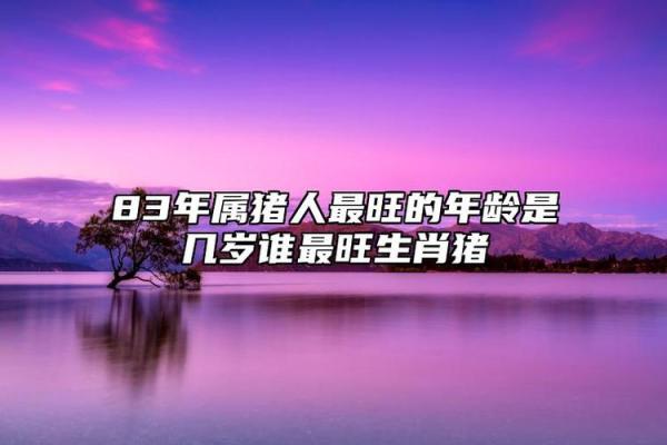 属猪的2019年运势分析：命理解析与生活指南