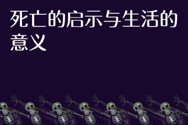 解密1204号命：命理学中的独特魅力与人生启示