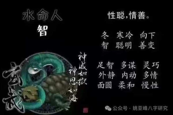 探讨土命与木命之间的奇妙关系与相互影响