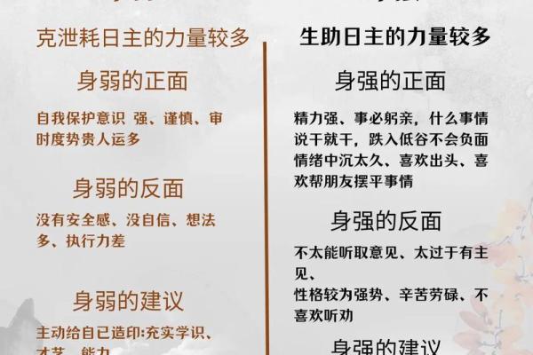 命与命相旺：解读命理中的强弱与和谐关系