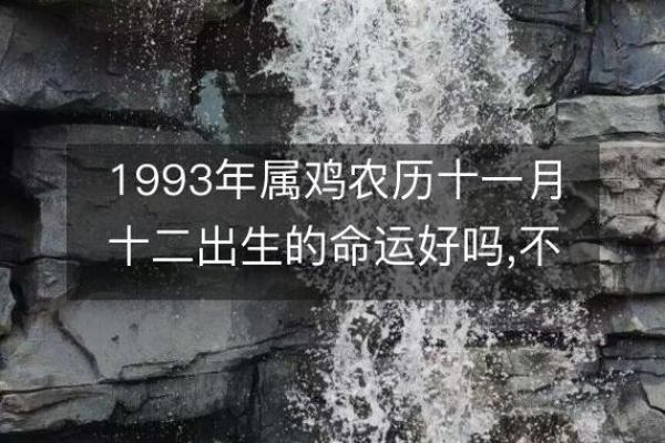 2002年属鸡人的命运解析与生活启示