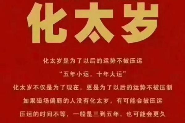 深入探讨2017年属猪的命理与运势：人生的机遇与挑战