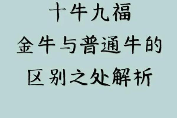 辛亥年命格解析：揭示你的命运与潜能之道