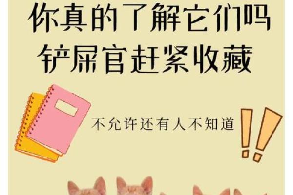 探索猫咪的神秘世界：为何这九条命的传说如此迷人？