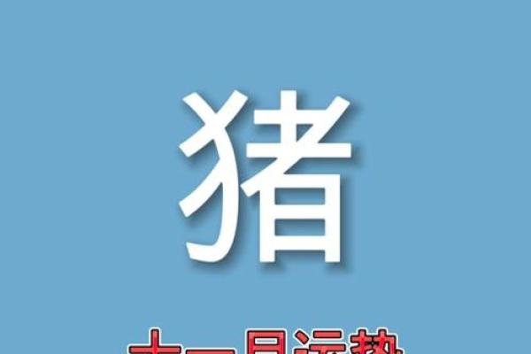 2007年猪年：探寻属猪之人的命运与人生哲学