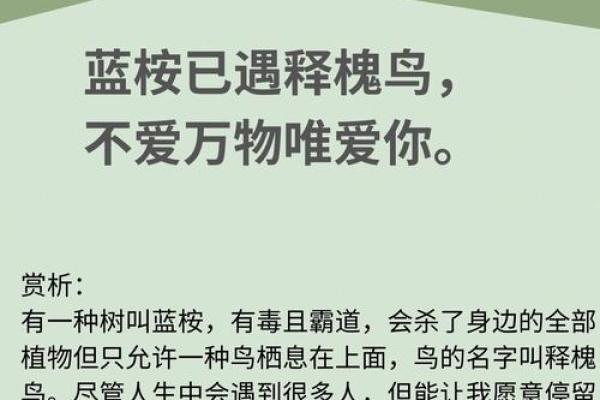 有一种命，叫做孤独命：孤独的美与思考的深度