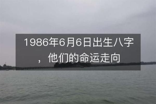 解密1992年8月4日出生者的命运与个性特征