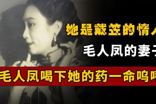 一命打两命：探秘古老哲理的现代意义与影响