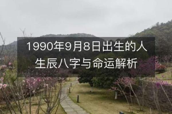 1990年出生的命运解析：走向辉煌的28年旅程