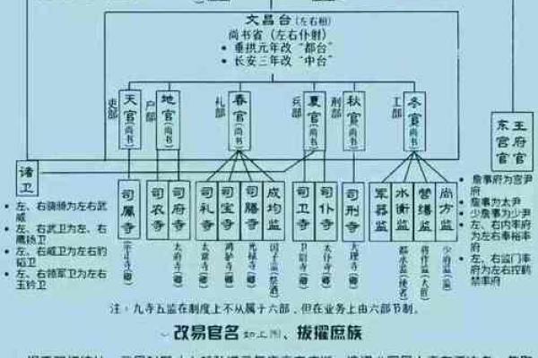 2020年出生的男孩命运与未来发展：解析五行与生肖影响