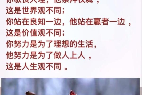 根据什么命端什么碗，揭示生活的智慧与哲理