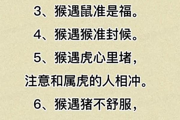 50岁属猪的人生智慧：如何迎接生活中的各种挑战与机遇