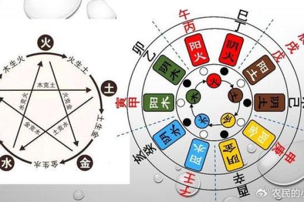 阳光照耀，双鱼星域解析人生命运的奥秘