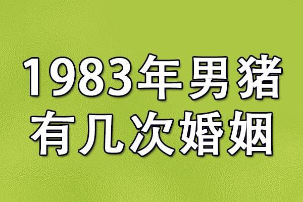 1983年猪年出生的人是什么命？深度解析与人生指引！