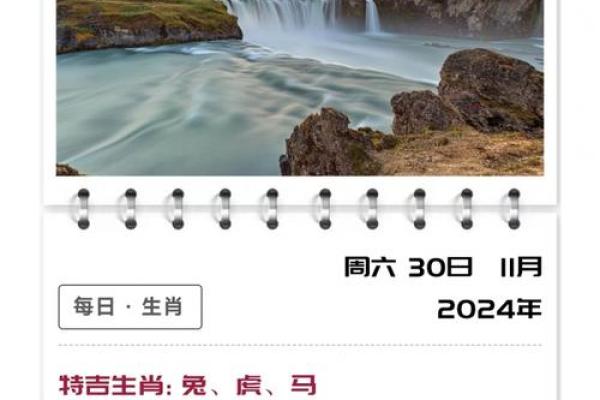 2023年虎年运势：命理解析与运势攻略