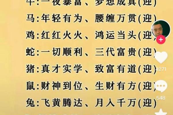 探秘2024年属相命运：兔年如何影响你的生活与运势？