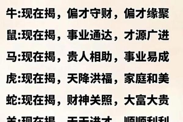 探秘2024年属相命运：兔年如何影响你的生活与运势？