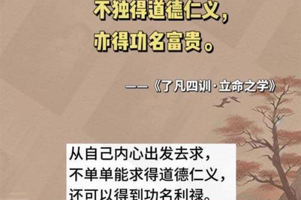 2018年出生的宝宝命运解析：揭示命理背后的秘密与人生方向