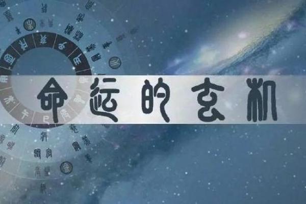 命局中的生肖解析：揭示你的命运密码与性格特征