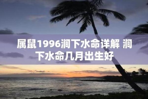 1992鼠年出生的人命运解析：智慧与机遇的结合