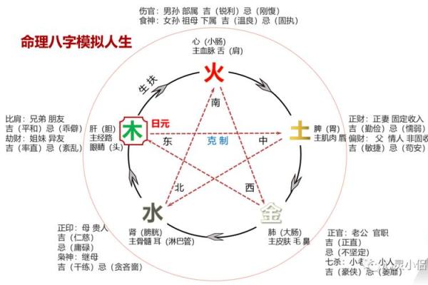 壬水命与理想搭配：探索最完美的命理组合