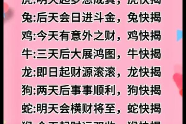 2023年兔年：兔命的气质与运势解析，如何在兔年中蓬勃发展