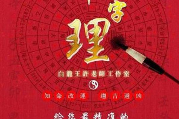 1994年宝宝的命理分析：如何把握人生的机遇与挑战？