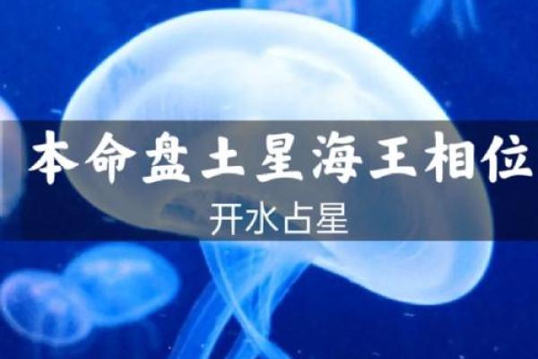 命主星宿女命解析：神秘星相背后的生命之旅