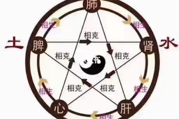 探秘五行命理：金木水火土的神秘智慧与人生启示