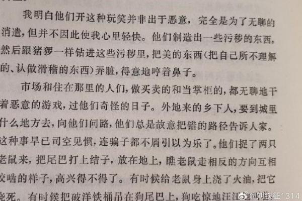 1982年出生的人命运解析：探索命格中的机遇与挑战