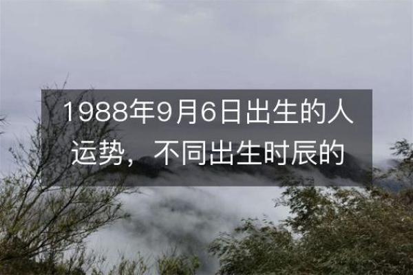 1996年12月出生人命运分析：在机遇与挑战中成长的旅程