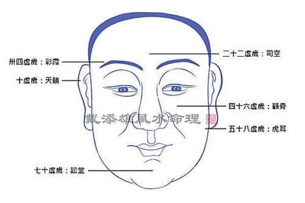 属鸡面相解析：好男命与好女命的面相特征