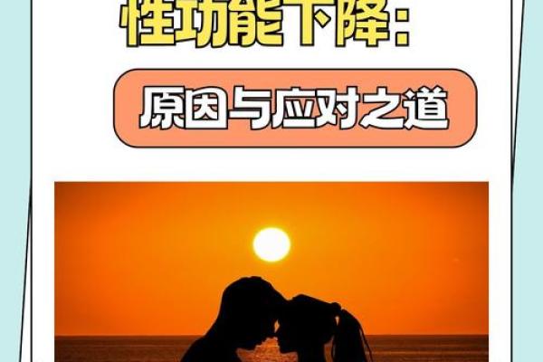 剑峰金命与土命的完美搭配：寻找命理中的和谐之道