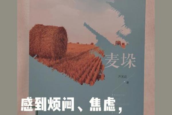 命运的密码：探索19810903背后的故事与人生启示