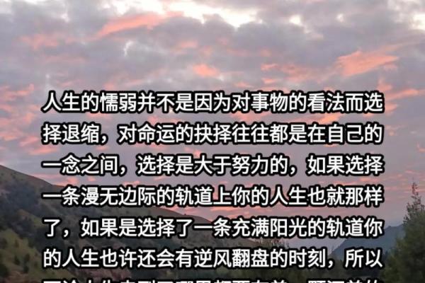 2002年出生孩子的命运解析：天赋与挑战并存的独特人生