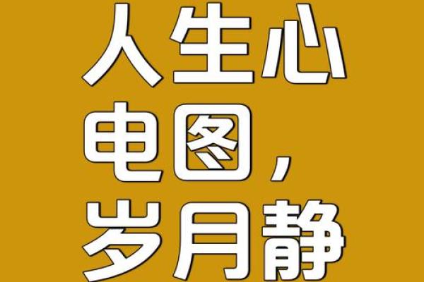 2017年属火鸡人的命理解读与人生指南