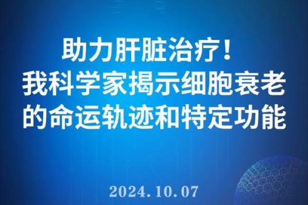 19940413命格解析：揭示你的命运与人生轨迹