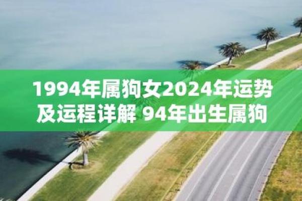 1994年属狗的命运与生活探索：让我们解析狗的性格与运势